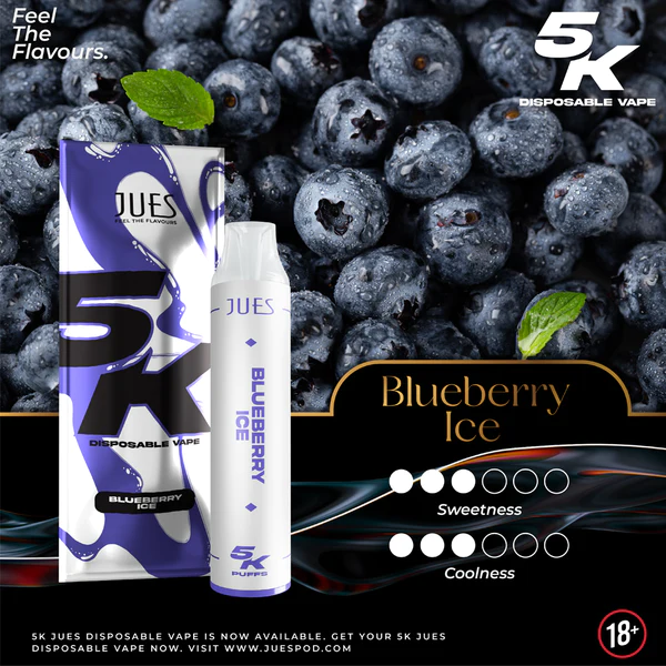 jues 5000 puff blueberry ice